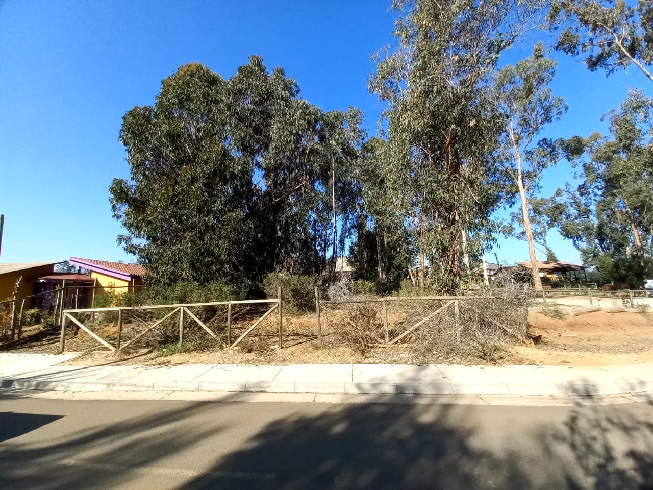 Sitio Bosques de Algarrobo